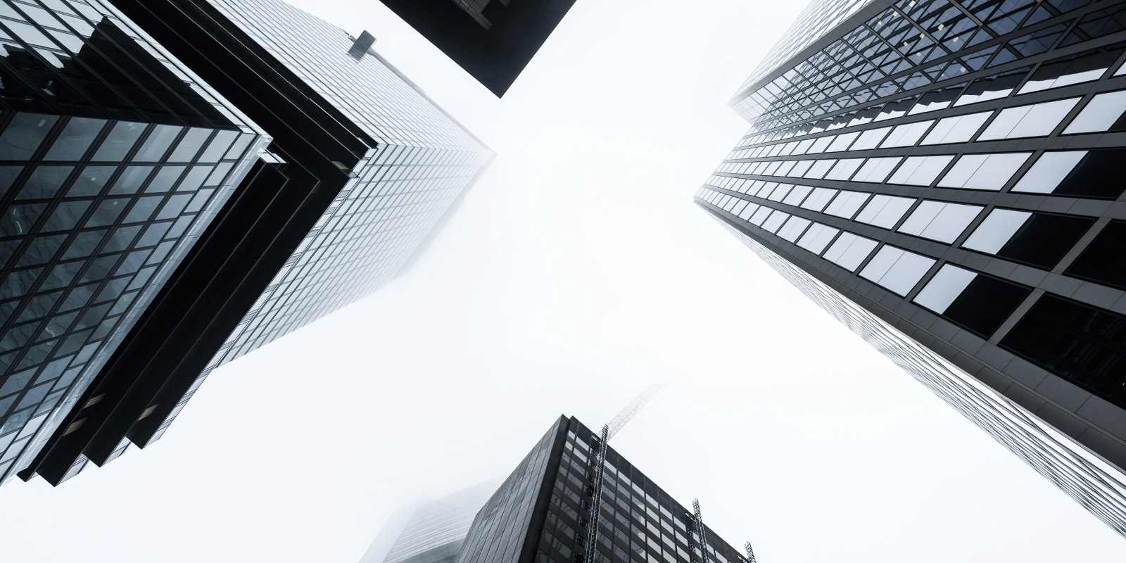 Revenue almost tripled in the first nine months of 2025